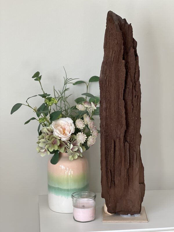 Permineralized Fossil Wood